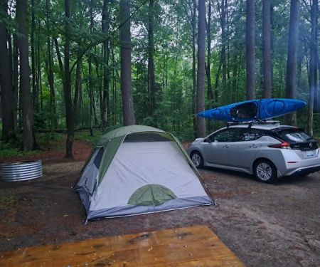 Higgins Lake State Park West Campground