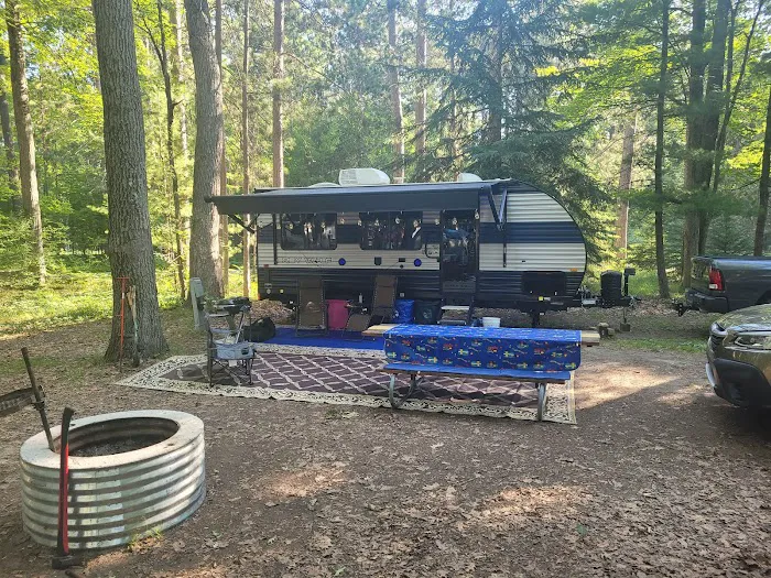 Higgins Lake State Park West Campground Picture 4