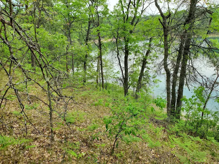 Kneff Lake Campground Picture 6