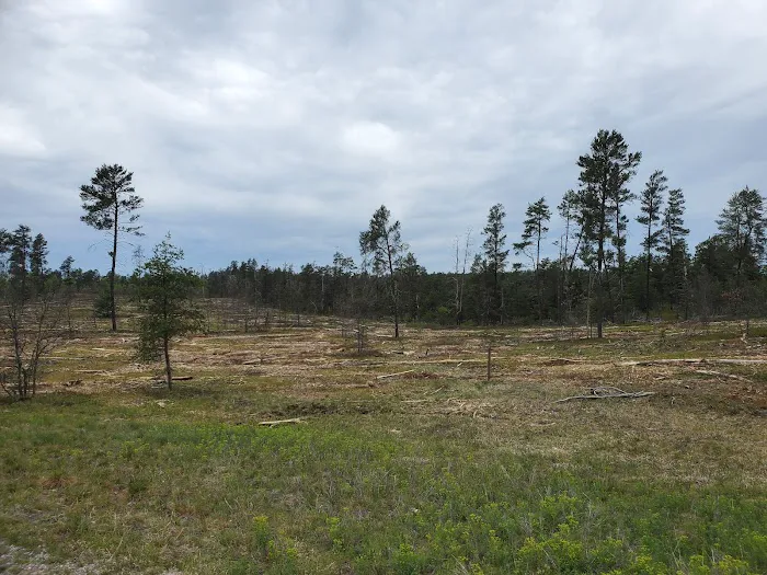 Kneff Lake Campground Picture 9