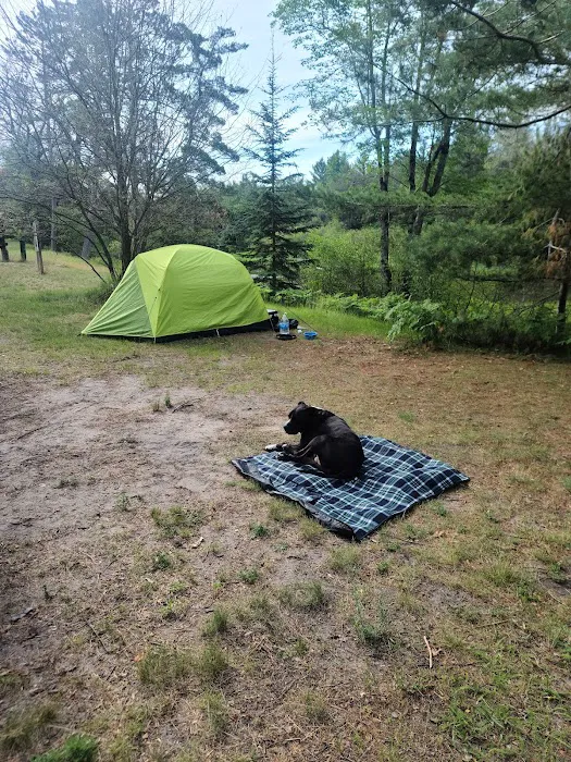 White Pine Canoe Campground Picture 3