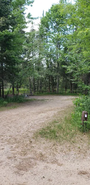 Keystone Landing State Forest Campground Picture 4