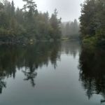 Keystone Landing State Forest Campground