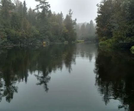 Keystone Landing State Forest Campground