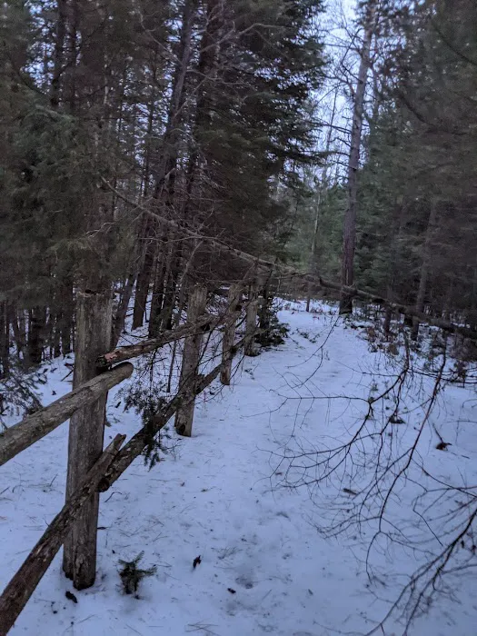 Keystone Landing State Forest Campground Picture 5
