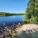 Reedsburg Dam State Forest Campground