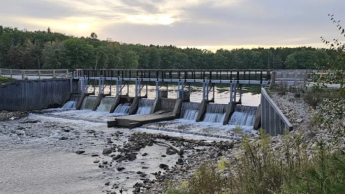 Reedsburg Dam State Forest Campground Picture 3