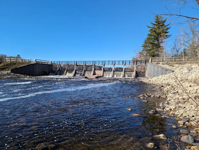 Reedsburg Dam State Forest Campground Picture 2