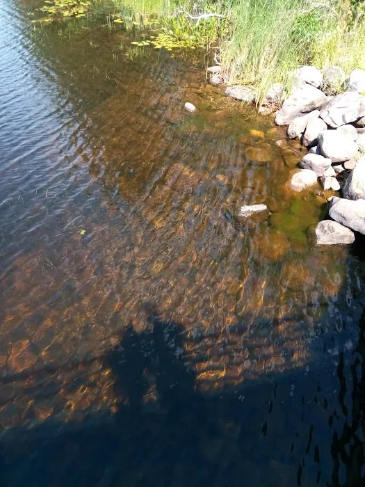 Reedsburg Dam State Forest Campground Picture 9