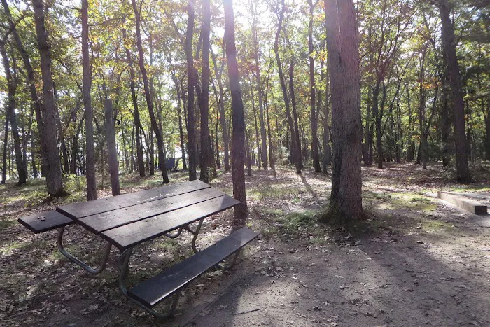Round Lake Campground Picture 3