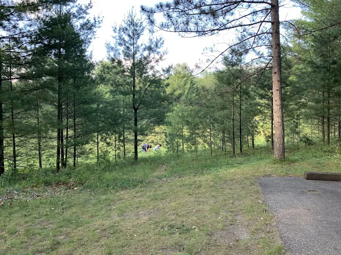 Round Lake Campground Picture 5