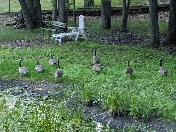 Round Lake Campground Picture 4