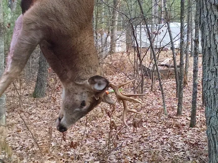 Green Valley RV Campground Picture 7
