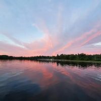 Bloomfield Landing ico