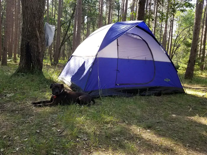 Monument Campground Picture 3