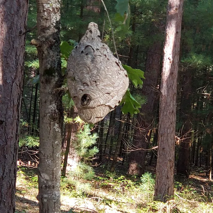 Monument Campground Picture 7