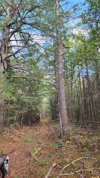 River Road Trail Horse Camp Picture 1