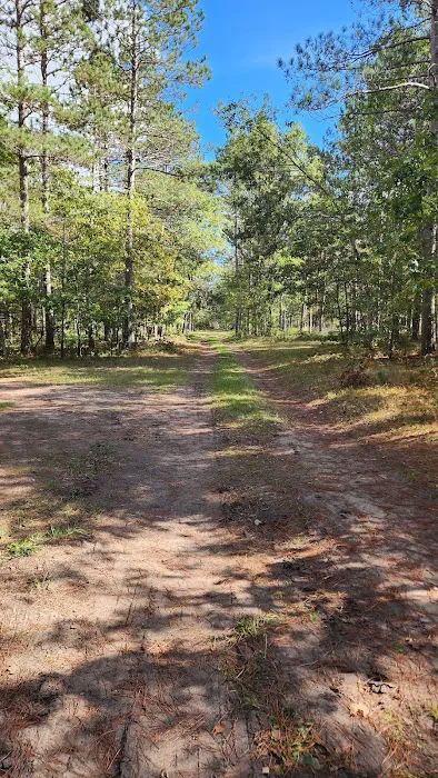River Road Trail Horse Camp Picture 5