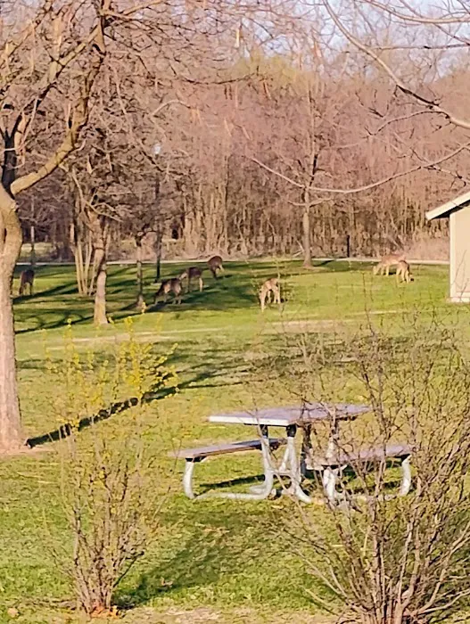Camp Shabbona Woods Picture 1