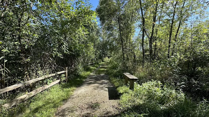 Camp Shabbona Woods Picture 7