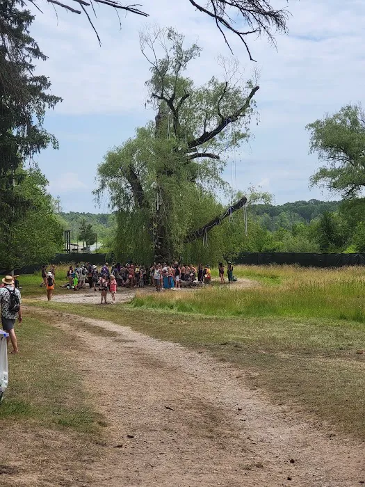Camp Higher Love Picture 1