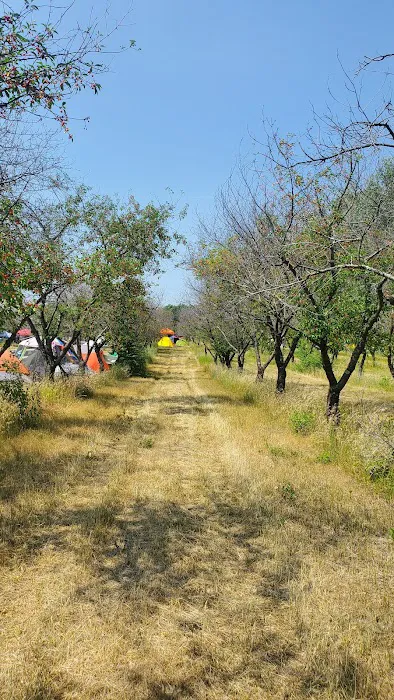 Cherry Orchard Campground Picture 1