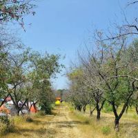 Cherry Orchard Campground ico