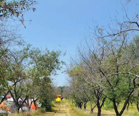 Cherry Orchard Campground