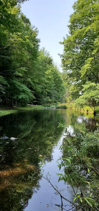 Stony Haven Campground & Cabins Picture 1