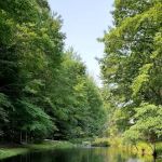 Stony Haven Campground & Cabins