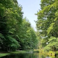 Stony Haven Campground & Cabins ico