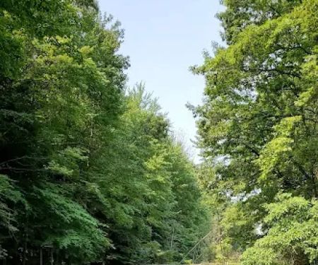 Stony Haven Campground & Cabins