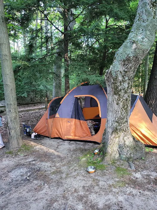 Stony Haven Campground & Cabins Picture 3