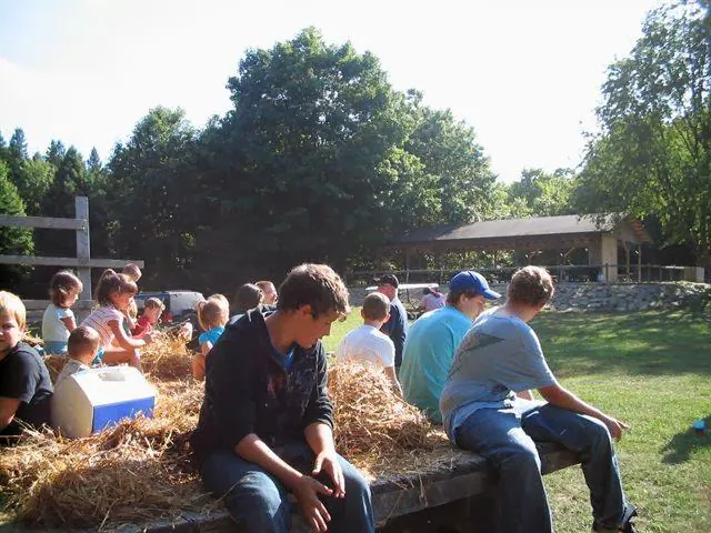 Holiday Camping Resort Picture 4