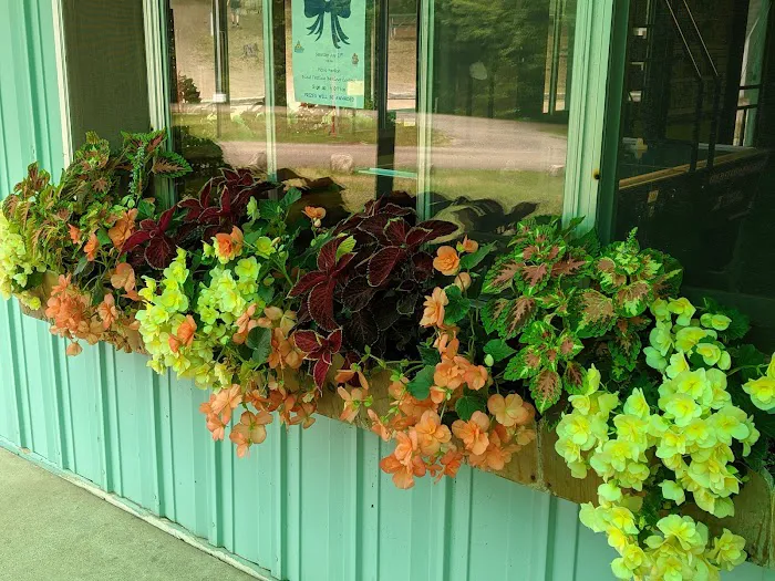 Holiday Camping Resort Picture 2