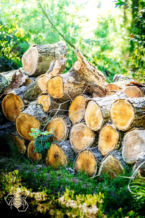 Black Eden Tiny Cabins Picture 2