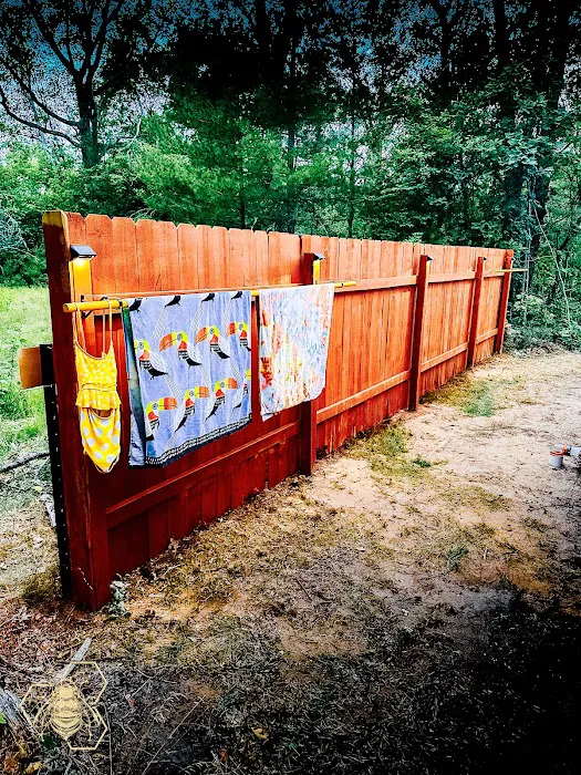 Black Eden Tiny Cabins Picture 4