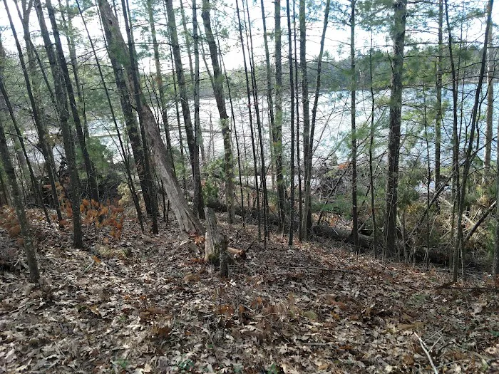 Leverentz Lake State Forest Campground Picture 5