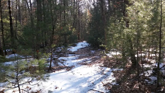 Bray Creek State Forest Campground Picture 4