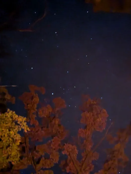 Bray Creek State Forest Campground Picture 9