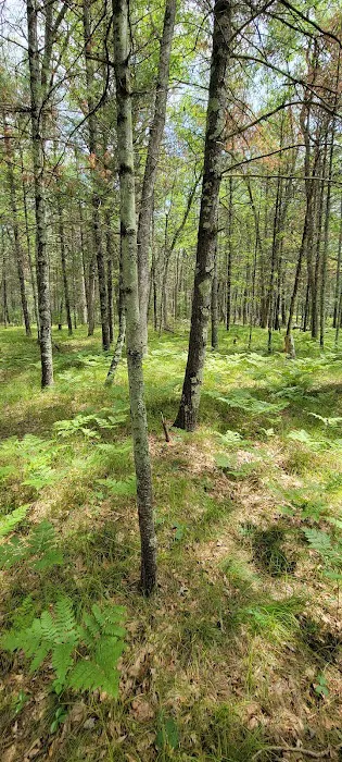 Claybanks Campground Picture 5