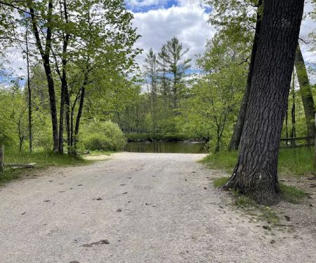 Bowman Bridge River Access