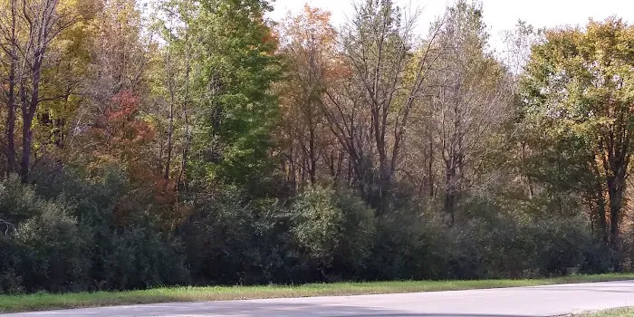 Whiskey Creek Condo Assoc. Picture 4