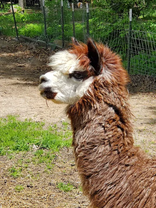 Whiskey Creek Campground Picture 10