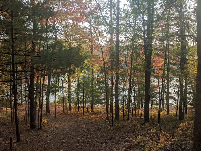 Whelan Lake Area Picture 1