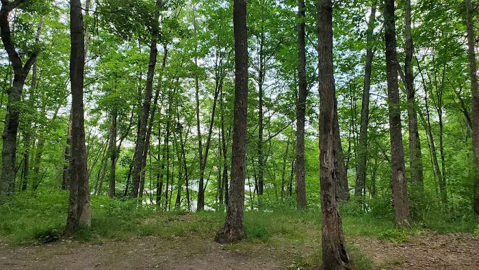 Whelan Lake Area Picture 5