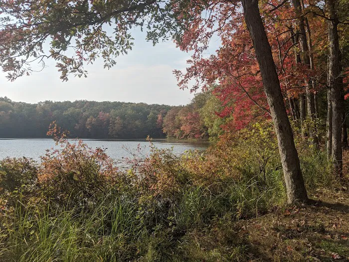 Whelan Lake Area Picture 2