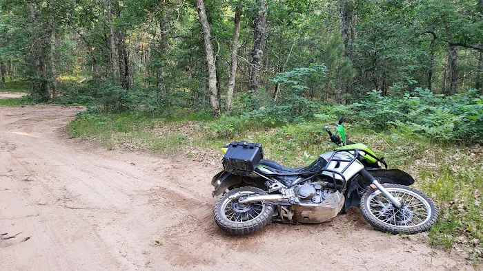 Whelan Lake Area Picture 4