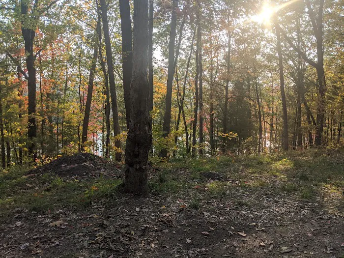 Whelan Lake Area Picture 6