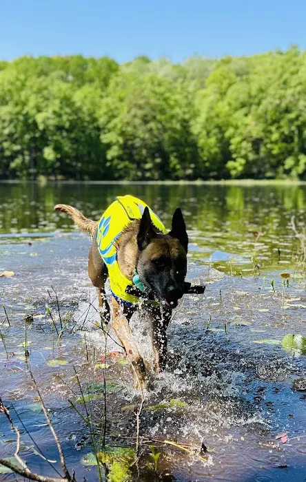 Whelan Lake Area Picture 7